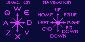 directional keys